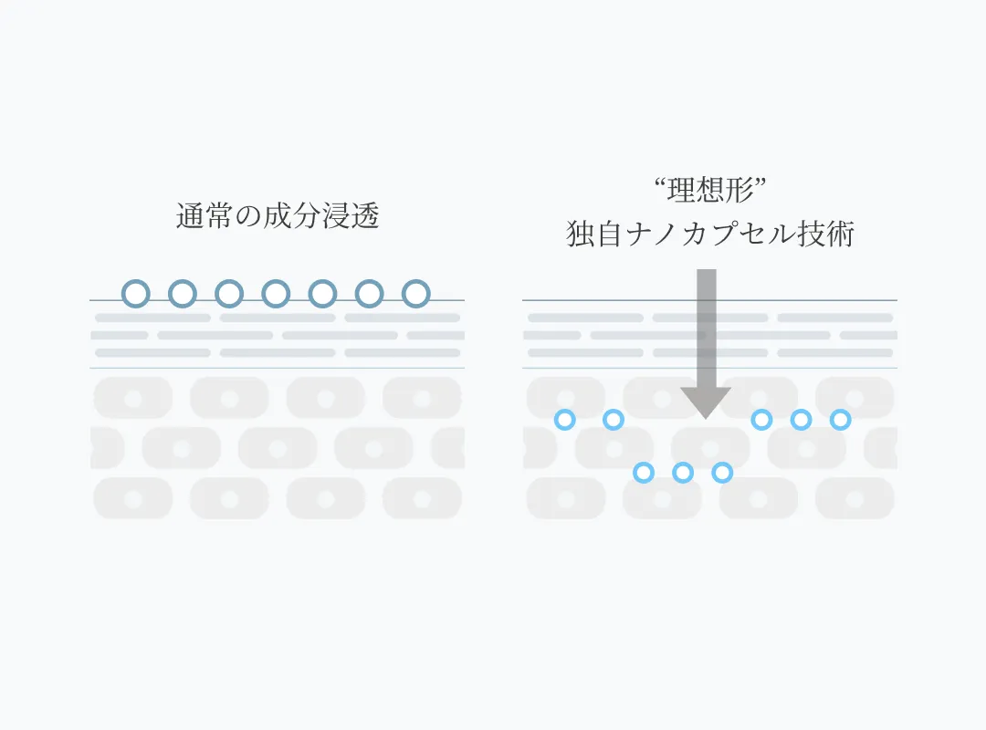 独自ナノカプセル技術